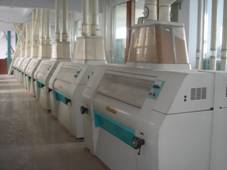 The storey of flour milling machine